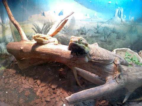 Westman Reptile Gardens